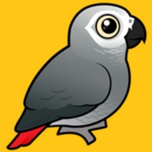 Meet your Posher, Juliana